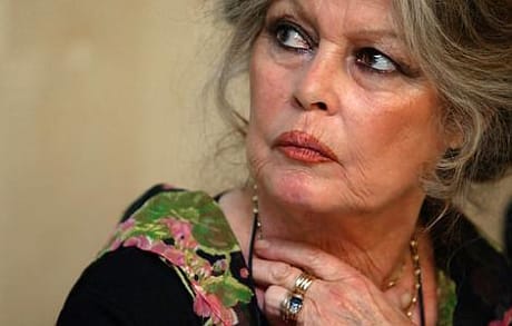 Brigitte Bardot lelövés helyett sterilizáltatná a pristinai kutyákat