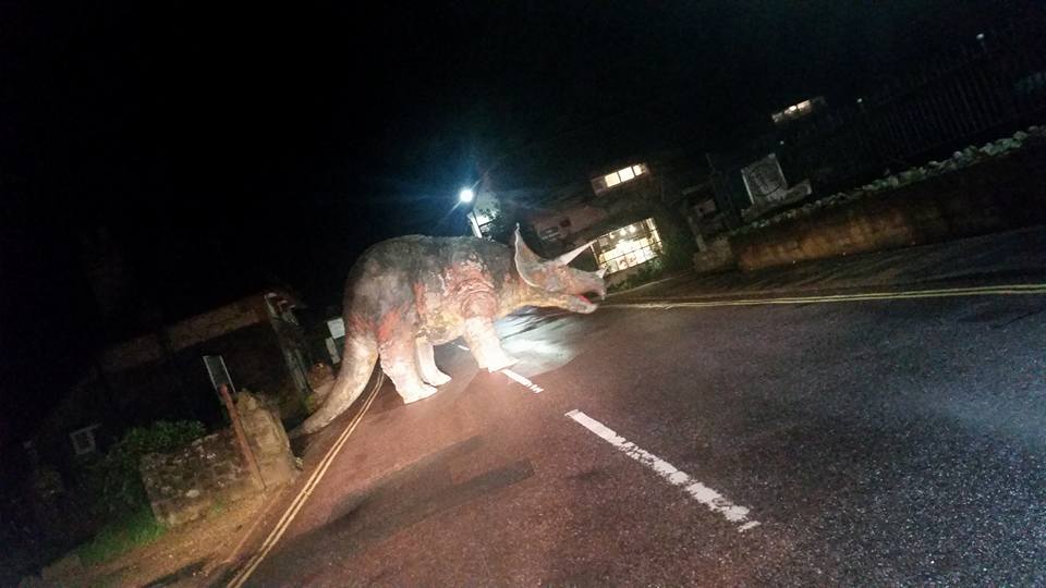 Vezet az ember hazafelé, és egyszer csak ott áll az úton egy Triceratops