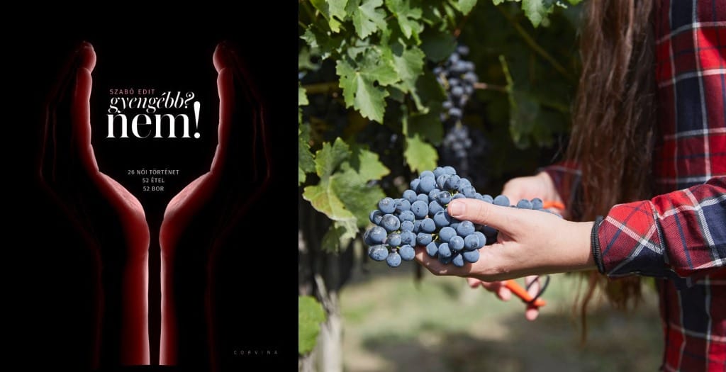 Cherchez la femme - formabontó nőnap