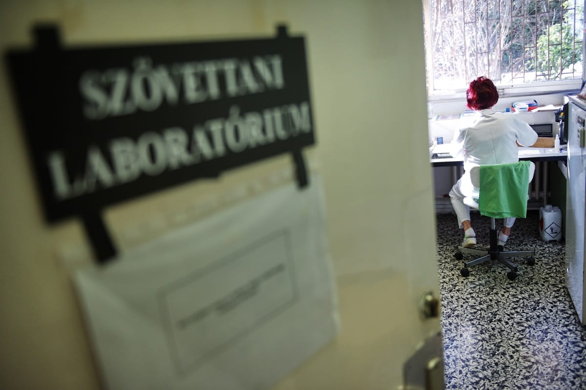 Magyarországon kevesebb a daganatos betegek esélye a gyógyulásra