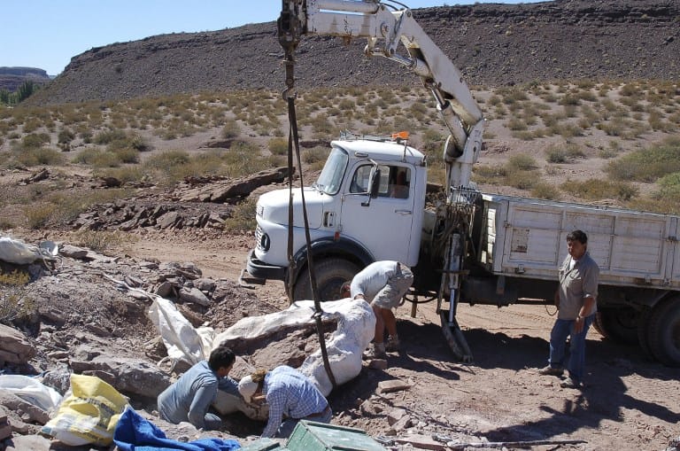 Új dinoszauruszfaj maradványait ásták elő Argentínában