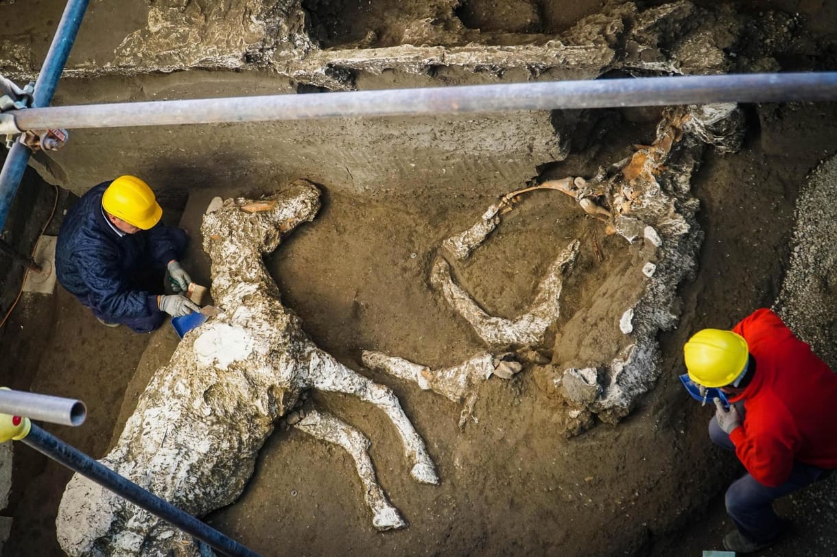 Különleges lelet: felszerszámozott lovat találtak Pompeji romjai között
