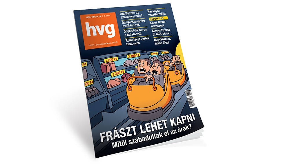 Kocsis Györgyi: Fiatalság – okosság