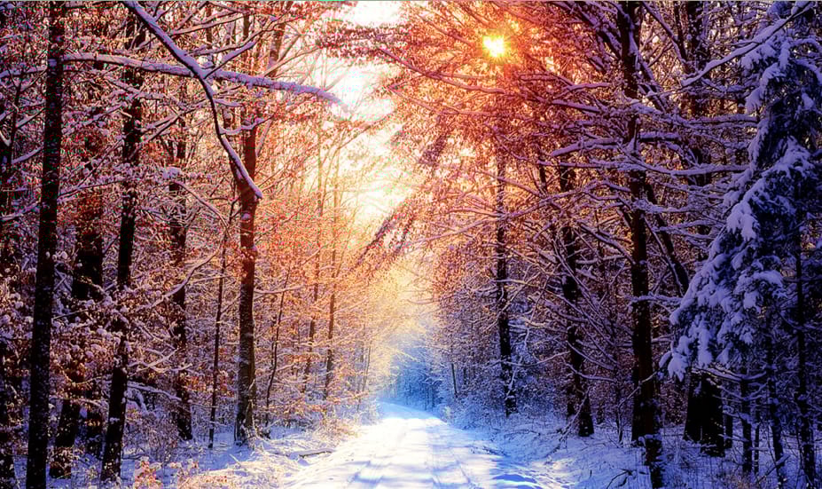 Mai háttérkép: Winter Wallpaper III