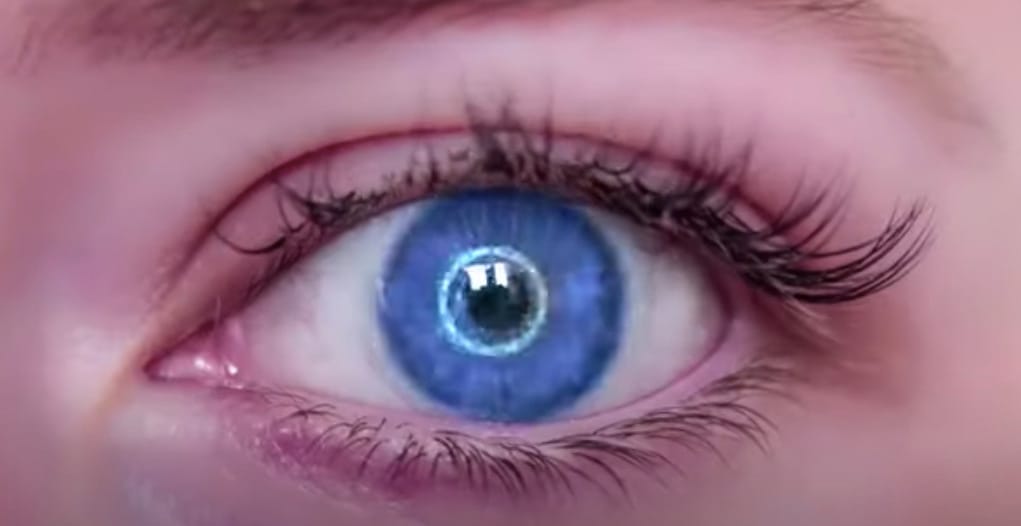 Mint egy filmben: ez a gép a szeméből megmondja, ha valaki hazudik