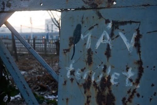 Már a MÁV-nál is mi szedjük a szemetet