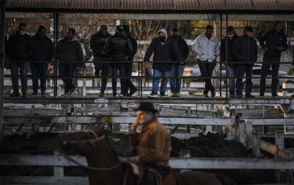 Bezárt Argentína egyik leghíresebb marhapiaca
