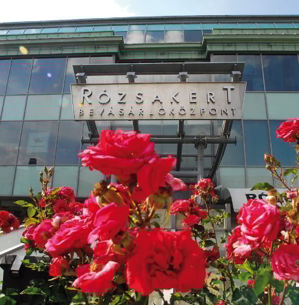 Mérgezést okozhatnak a rózsacsokrok