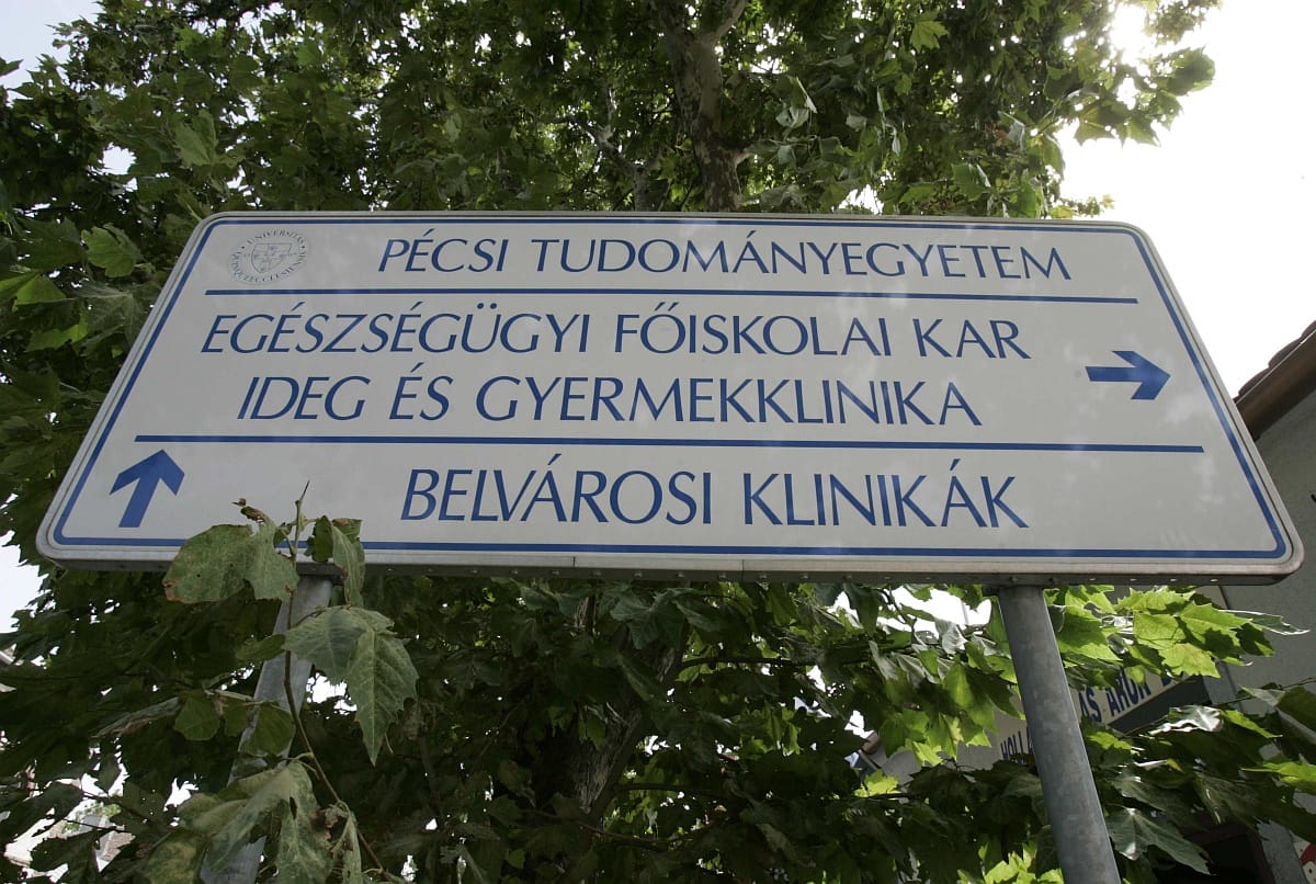 A külföldi diákok nemcsak a partikban, az ingatlanpiacon is dominálnak