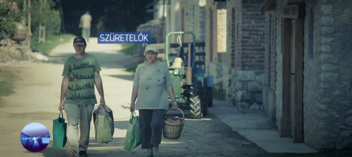 Az apát bele