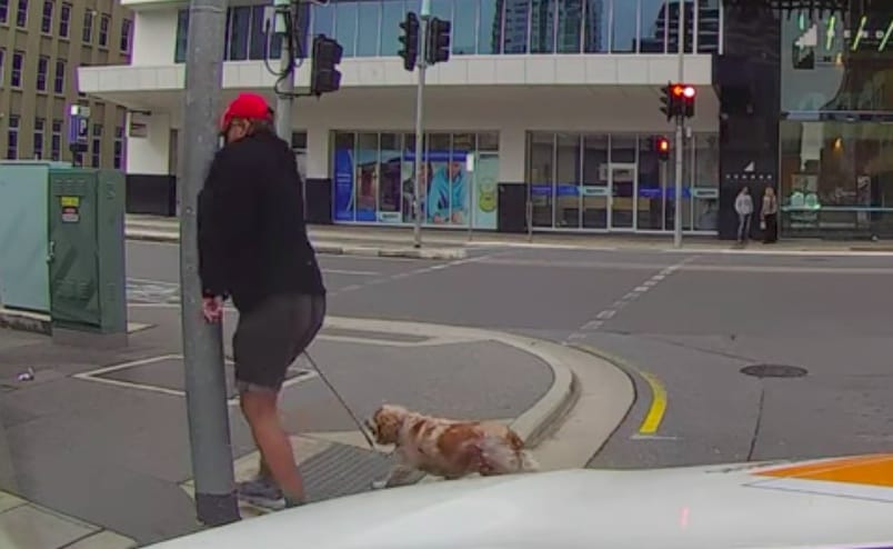 Instant karma: idegesen szövegelt a gyalogos a sofőrnek, aztán jött a lámpaoszlop – videó