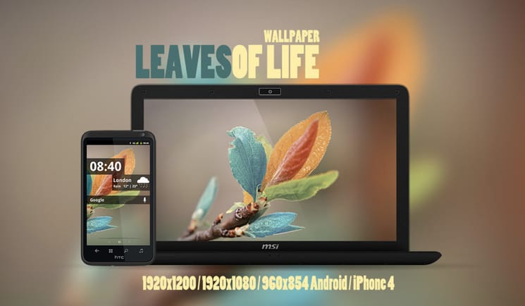Mai háttérkép: Leaves of Life wallpaper