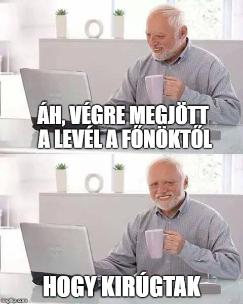 Újabb közismert mémarc bukkan fel egy kormányzati projektben: Hide the Pain Harold