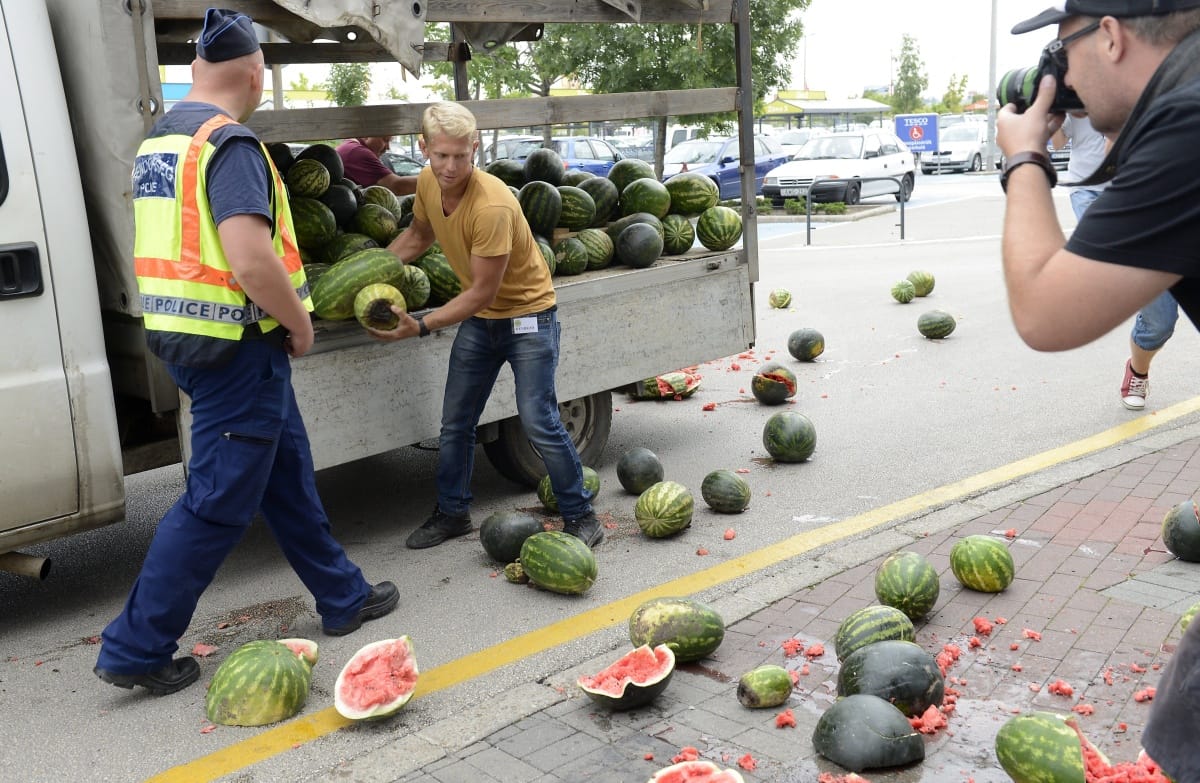 99 forintért adja a dinnyét a Tesco, bepöccent a kamara