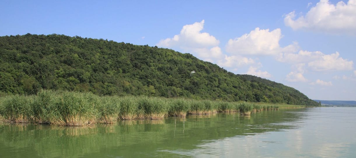 Lezárják a tihanyi parkolókat a tömegesen érkező túrázók miatt