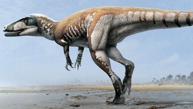 Új dinoszauruszt fedeztek fel: 7 méteres volt, 25 centis karmokkal