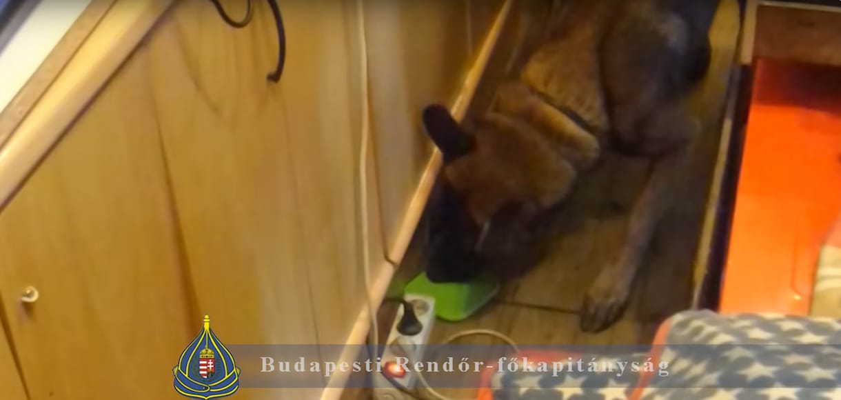 Drogot is árult a budai élelmiszerboltban