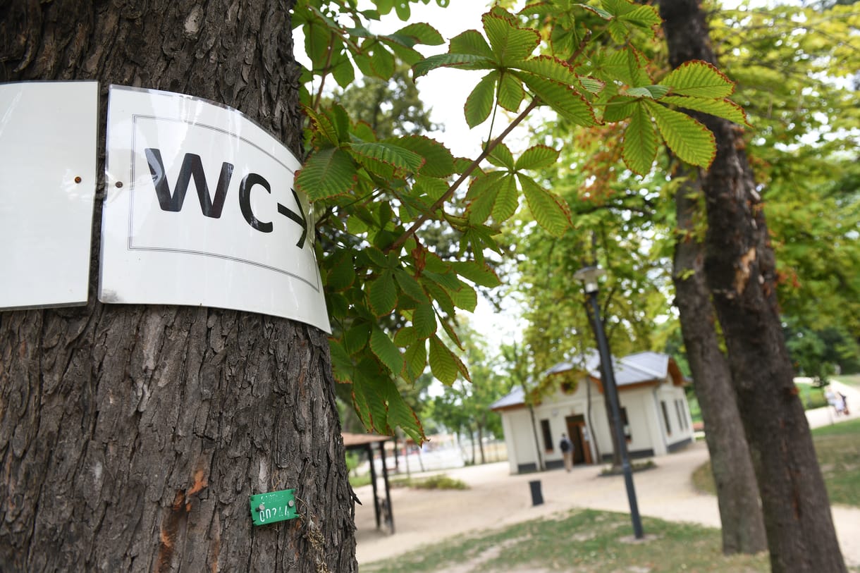Elkészült a nagy balatoni WC-térkép