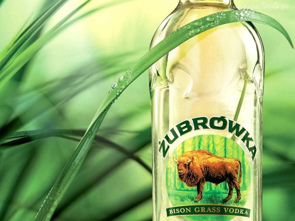 Tervezz pólót a bölényfüves vodkának!