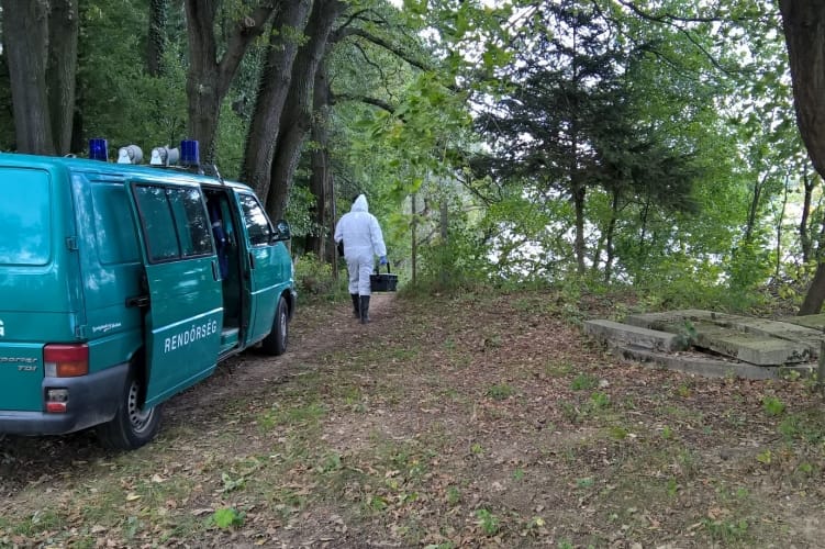 Női holttestet találtak a Deseda tónál