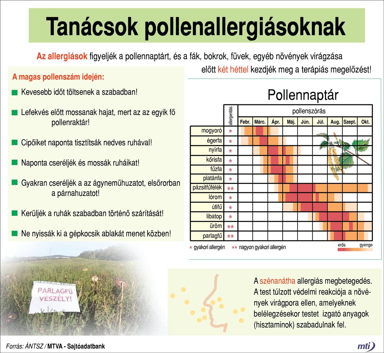 7 hasznos tipp allergiásoknak a lakásba