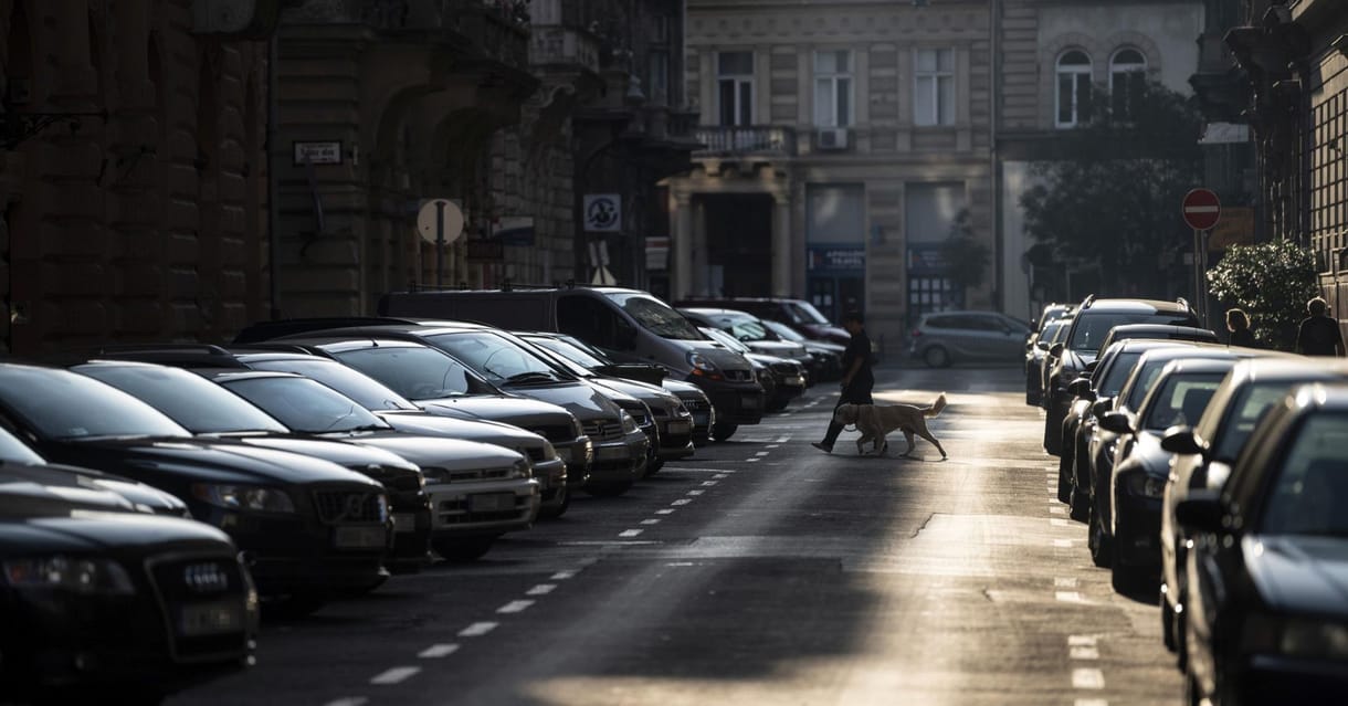 Belenyúlnak a darázsfészekbe a kerületek: több helyen felülvizsgálnák a parkolási engedélyeket