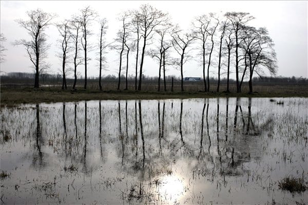 Belvíz fenyegeti az alföldi ingatlanokat