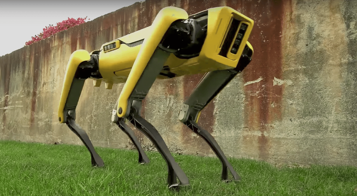 Egyszerre ámulatba ejtő és félelmetes a robotkutyát sétáltató Amazon-főnök fotója