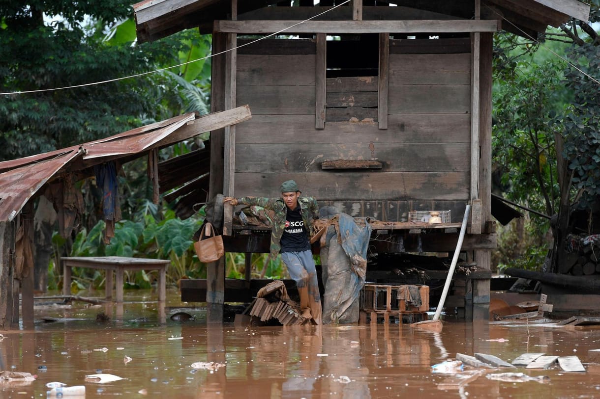 110 új növény- és állatfajt fedeztek fel a Mekong vidékén