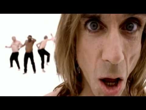 Ősszel érkezik Iggy Pop új albuma, a címadó dalt már meg is hallgathatja