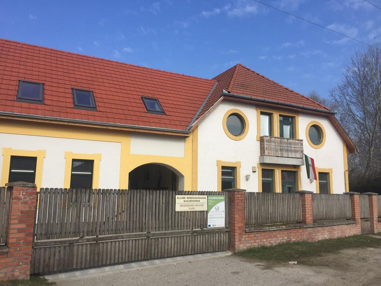 Lószolárium félmillióért: Az államtitkár veje használja a gyerekeknek szánt lovas központot