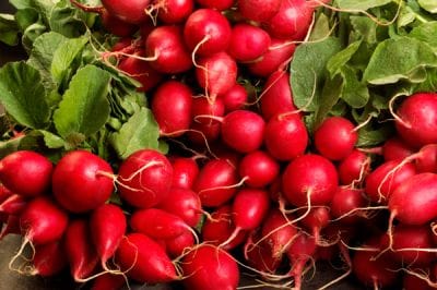 Tökéletesen retkesek lettünk - recept