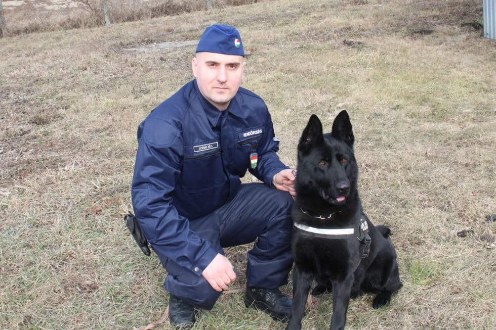 Unikornis vezette nyomra a borsodi rendőröket
