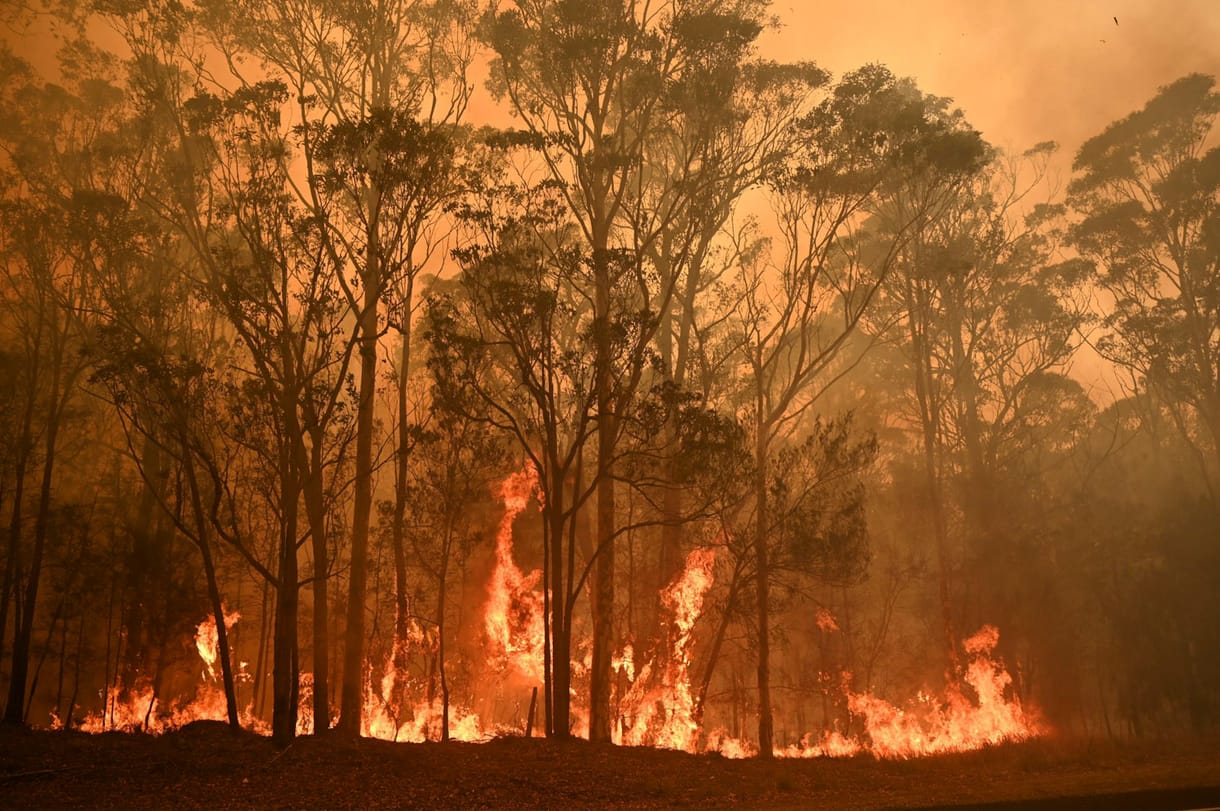 Sikerült megzabolázni egy Sydney melletti gigantikus tüzet