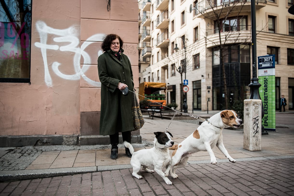 Király: a város legeslegpestibb utcája