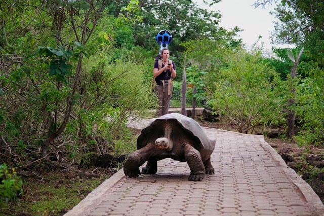 Már a Galápagos-szigetekről is készül Street View