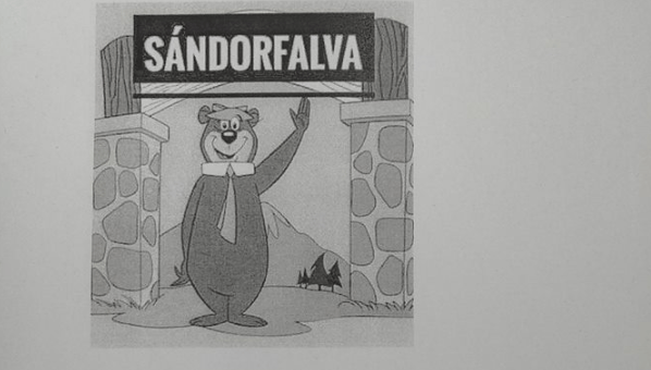 Sándorfalva örökbe fogadná a kóborló macit