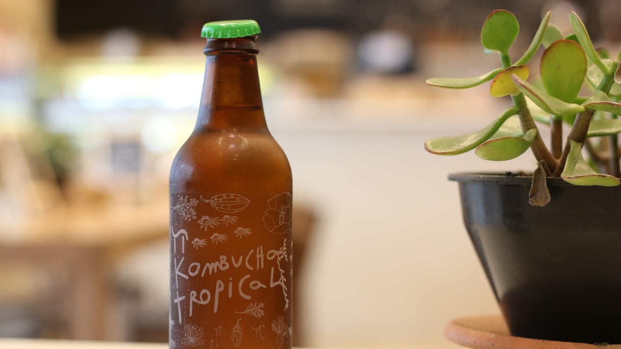 Sugárzóan jó hír: megjött az eredménye a nagy kombucha-kísérletnek a Nemzetközi Űrállomásról