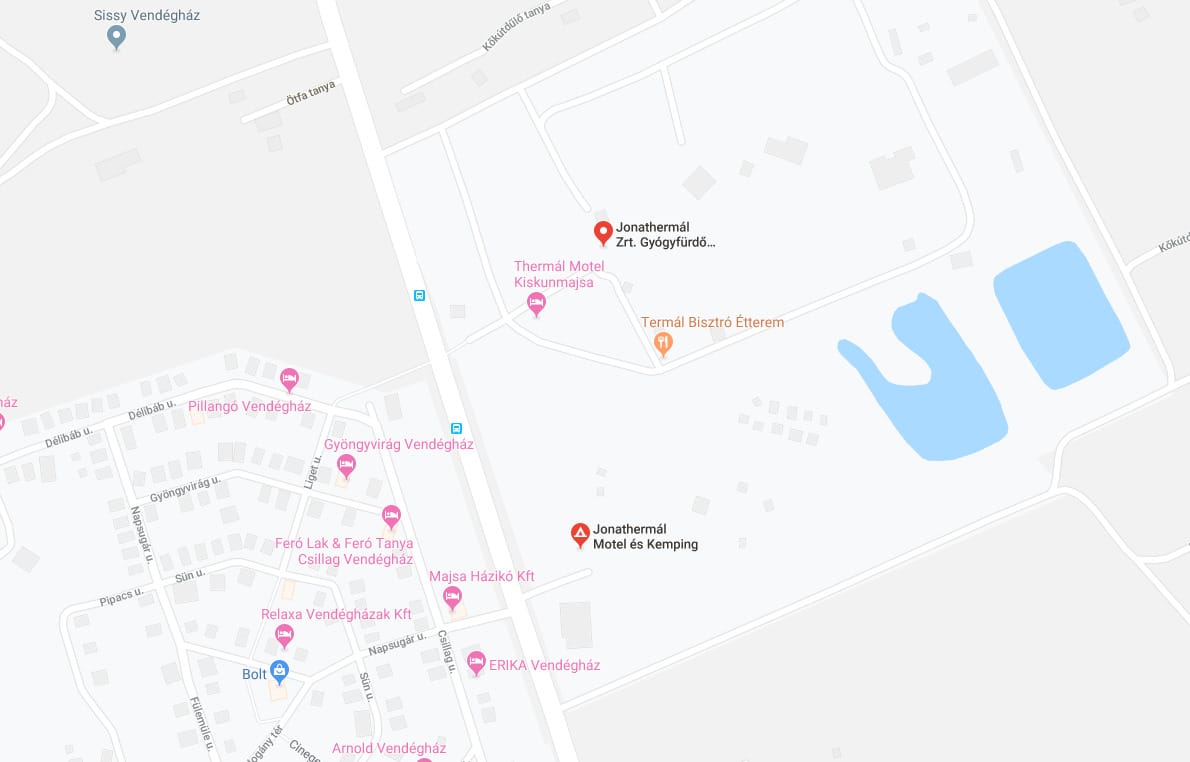 Többnapos holttestet találtak a kiskunmajsai erdőben
