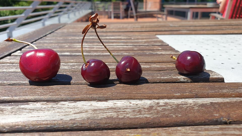 Aszály nincs, most a fagy és a túl sok eső miatt kérnek állami segítséget a gazdák