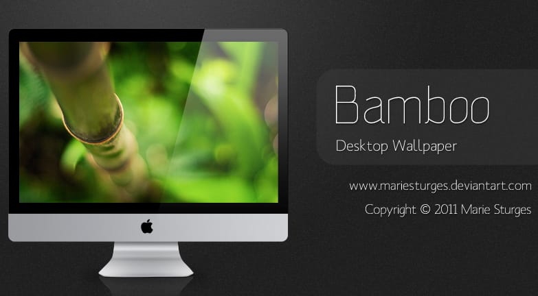 Mai háttérkép: Bamboo