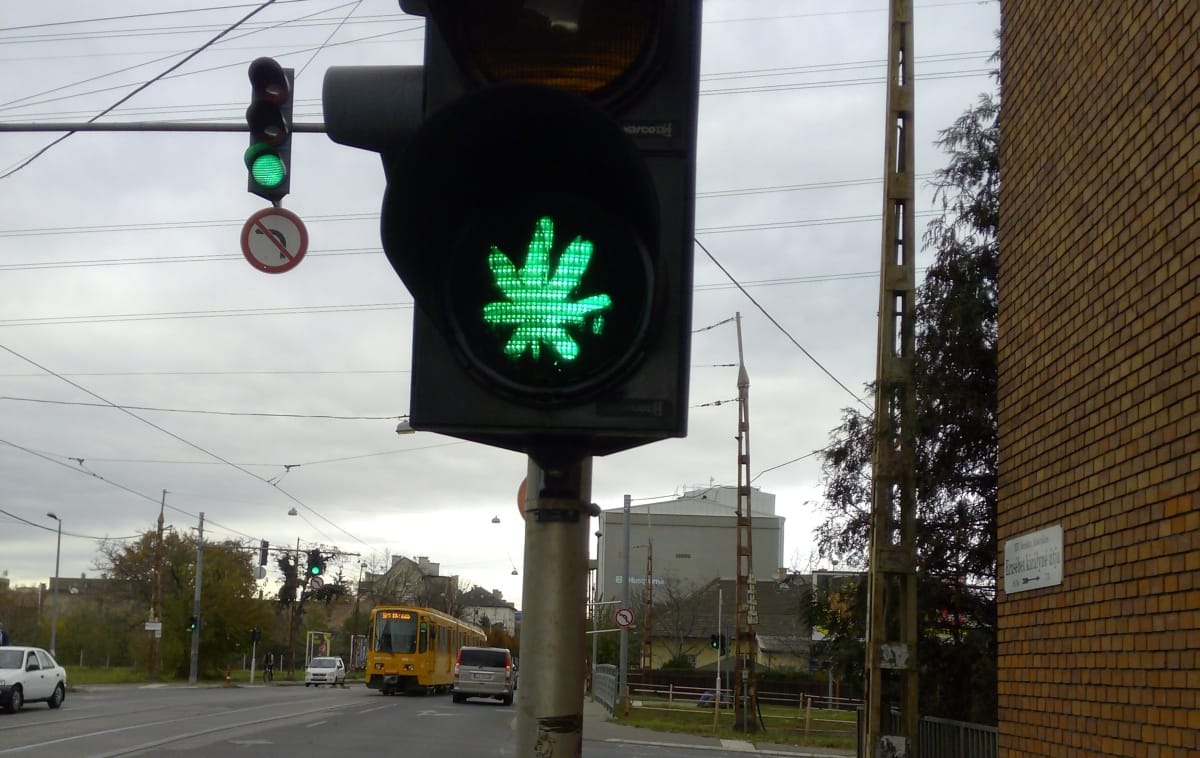 Ön szerint marihuána van ezen a jelzőlámpán? – fotó