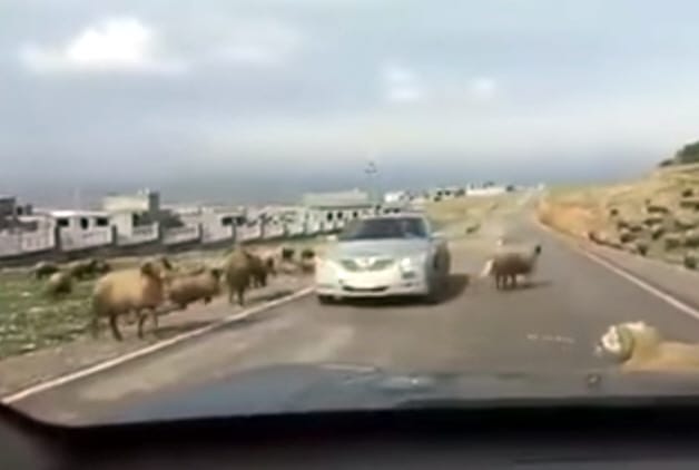 Videó: ki fizet, ha egy agresszív kos szétfejeli a kocsit?