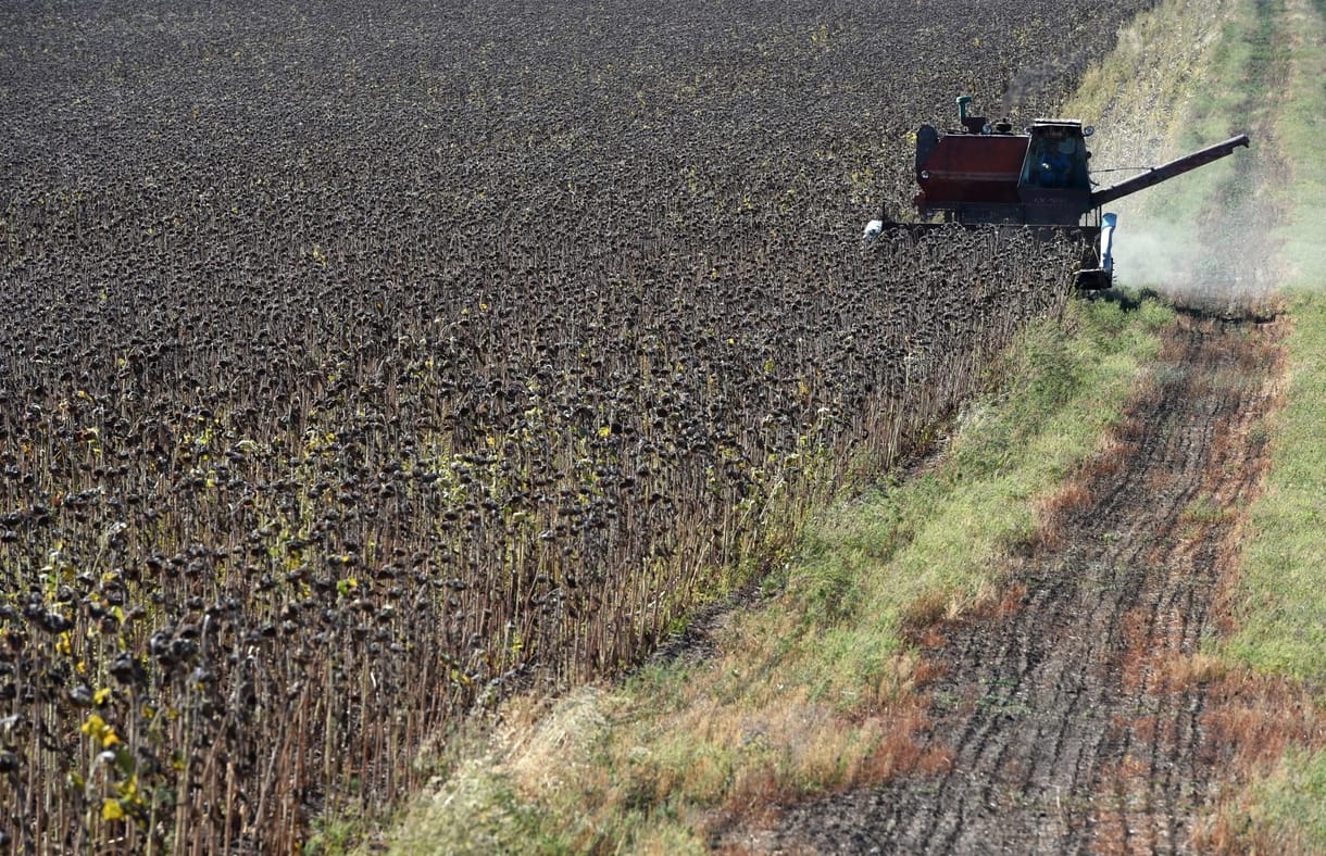 Betiltotta az ukrán kormány több gabonaféle, valamint a cukor, só és a hús exportját