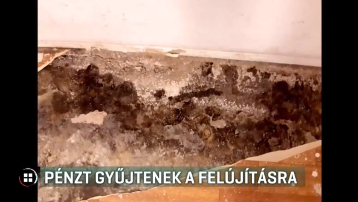 Egészségre káros mennyiségű a penész az etyeki iskolában