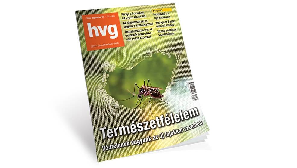 Hamvay Péter: Kiszorítósdi
