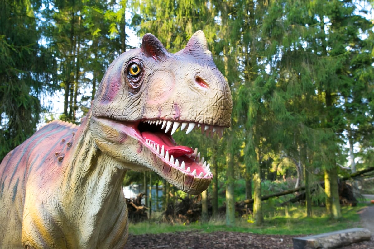 Dinoszauruszokat költöztetnek a veszprémi állatkertbe
