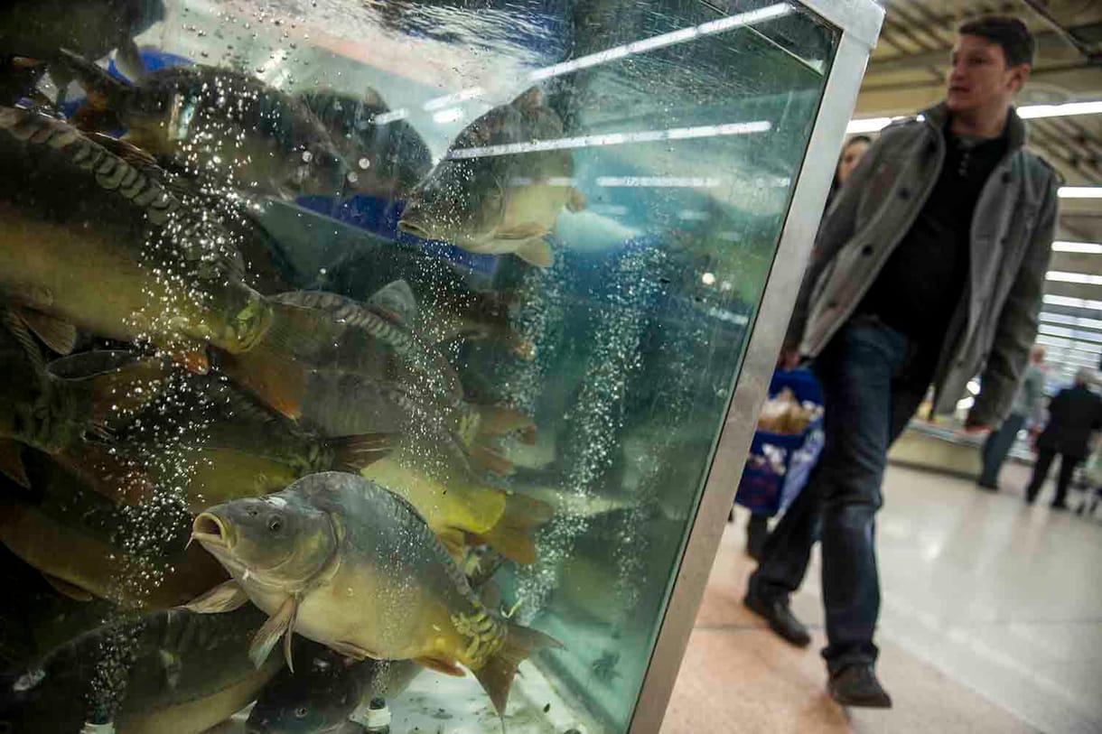 Pultokat szüntet meg a magyar Tesco