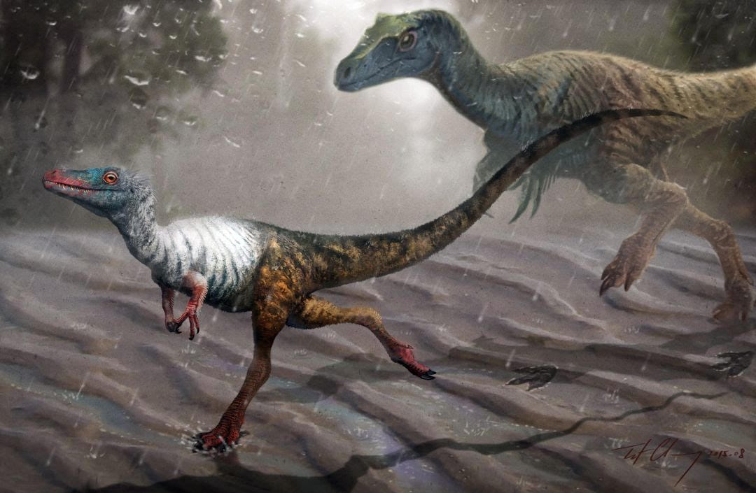 Ritka lelet került elő a dinoszauruszról, melynek mindössze 2 centis talpa volt