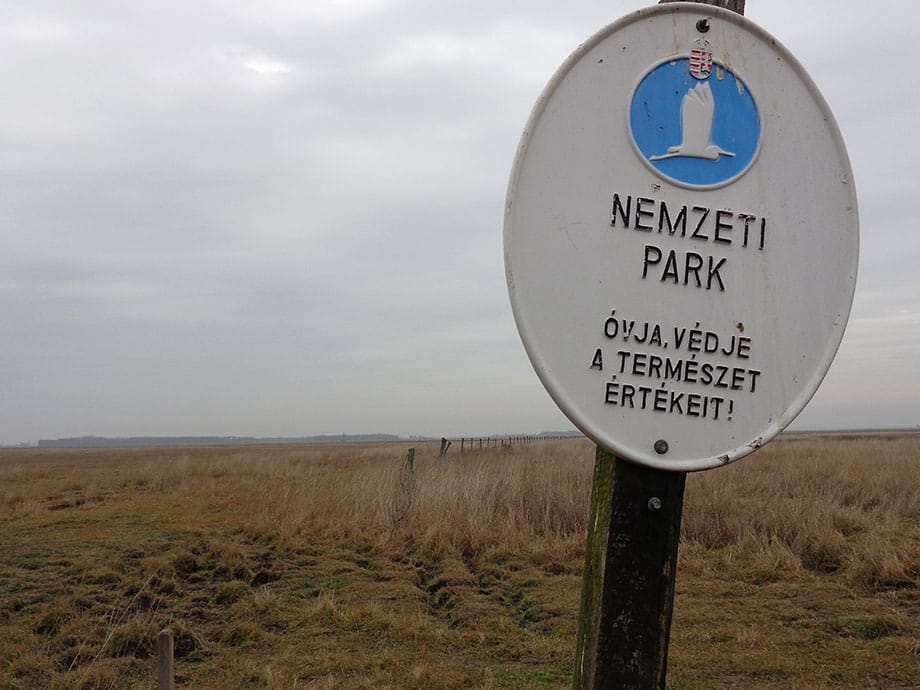 Ürülékkel árasztottak el egy hortobágyi nádast